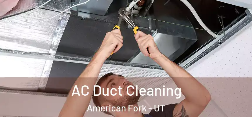  AC Duct Cleaning American Fork - UT