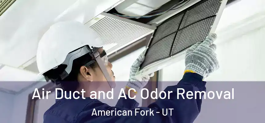  Air Duct and AC Odor Removal American Fork - UT