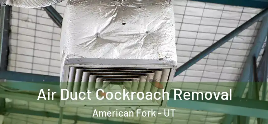 Air Duct Cockroach Removal American Fork - UT