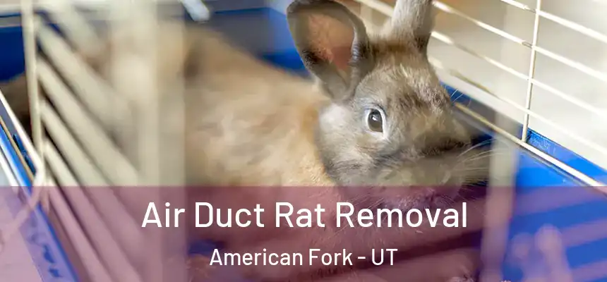  Air Duct Rat Removal American Fork - UT
