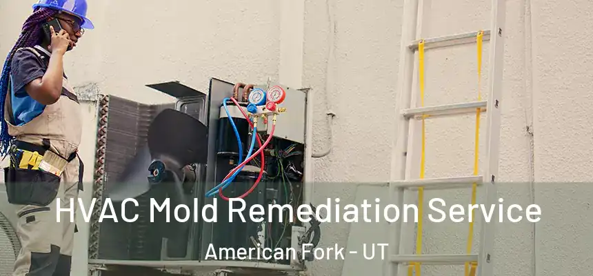  HVAC Mold Remediation Service American Fork - UT