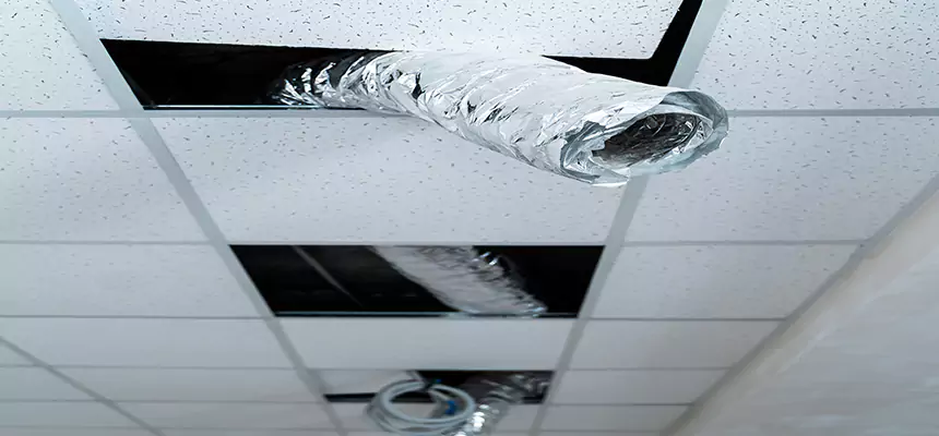 Affordable HVAC Sanitizing After Pest Removal in American Fork