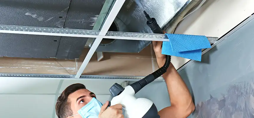 Our Air Duct Rodent Removal Services in American Fork, UT