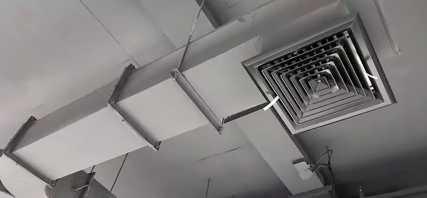 Restorative Allergy Relief Vent Cleaning – Coil, Blower & Housing Detail in American Fork