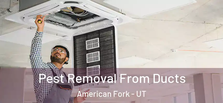 Pest Removal From Ducts American Fork - UT