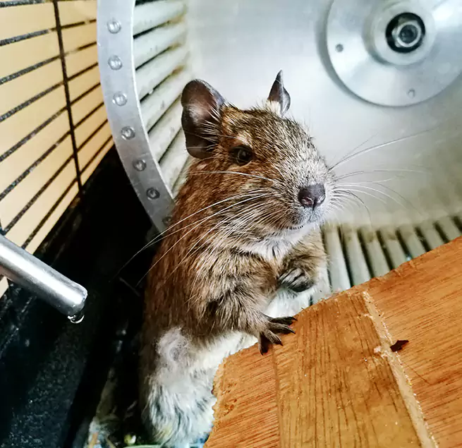 Why Homeowners & Businesses Trust Us American Fork, UT